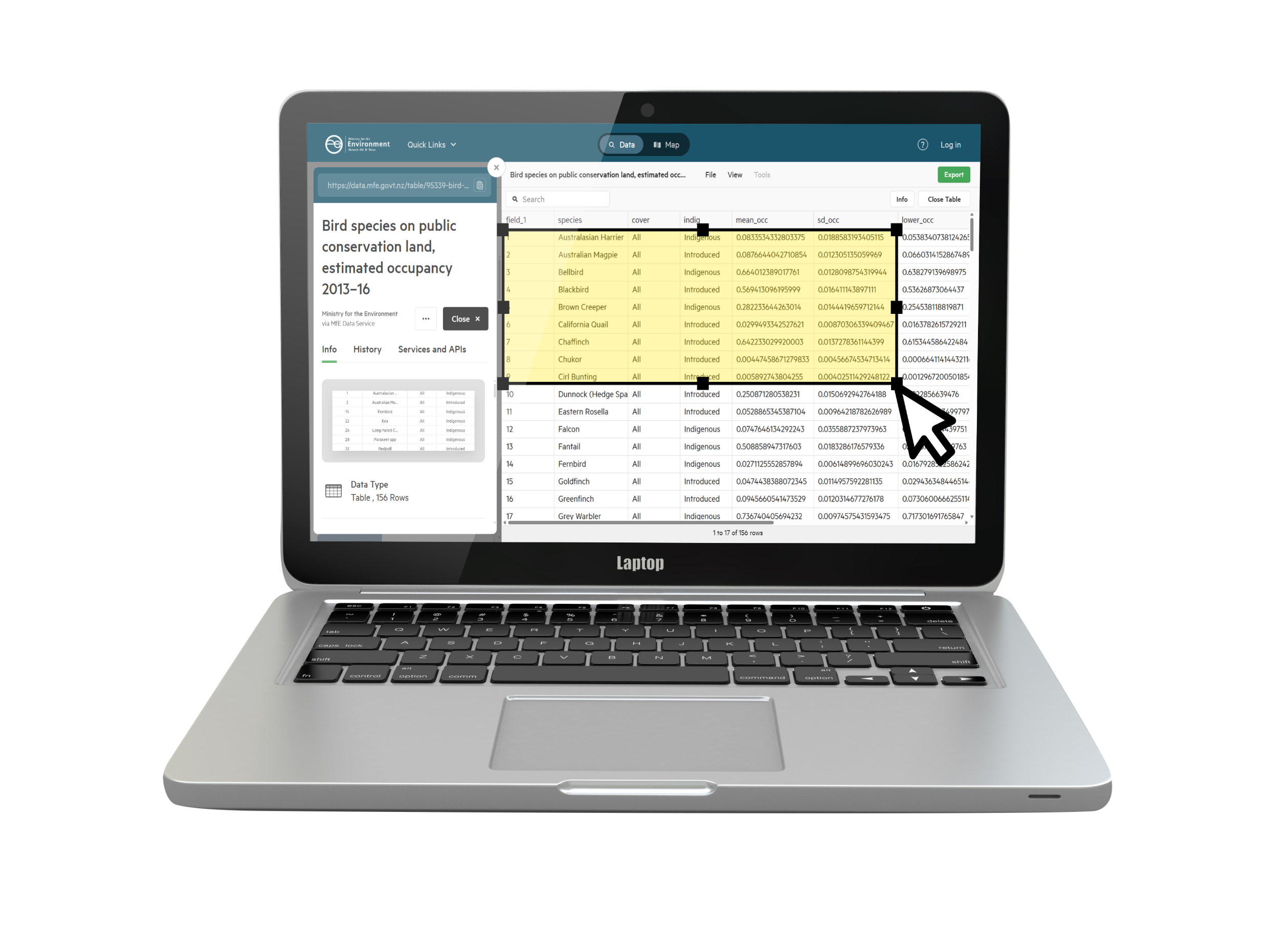 Mockup of bird species data website where the mouse is selecting an area of a data table.